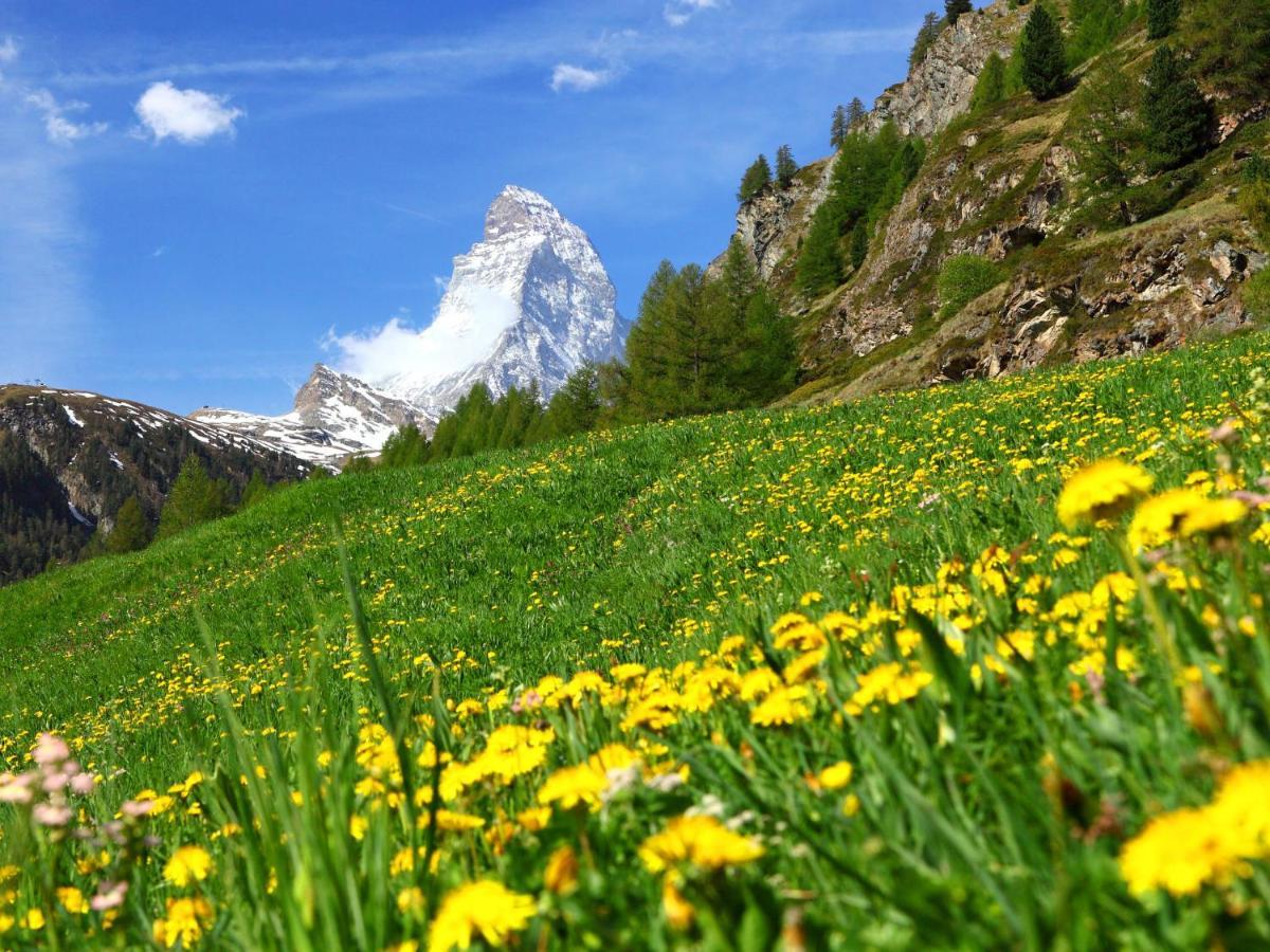 Apartment Armina By Interhome Zermatt Bagian luar foto