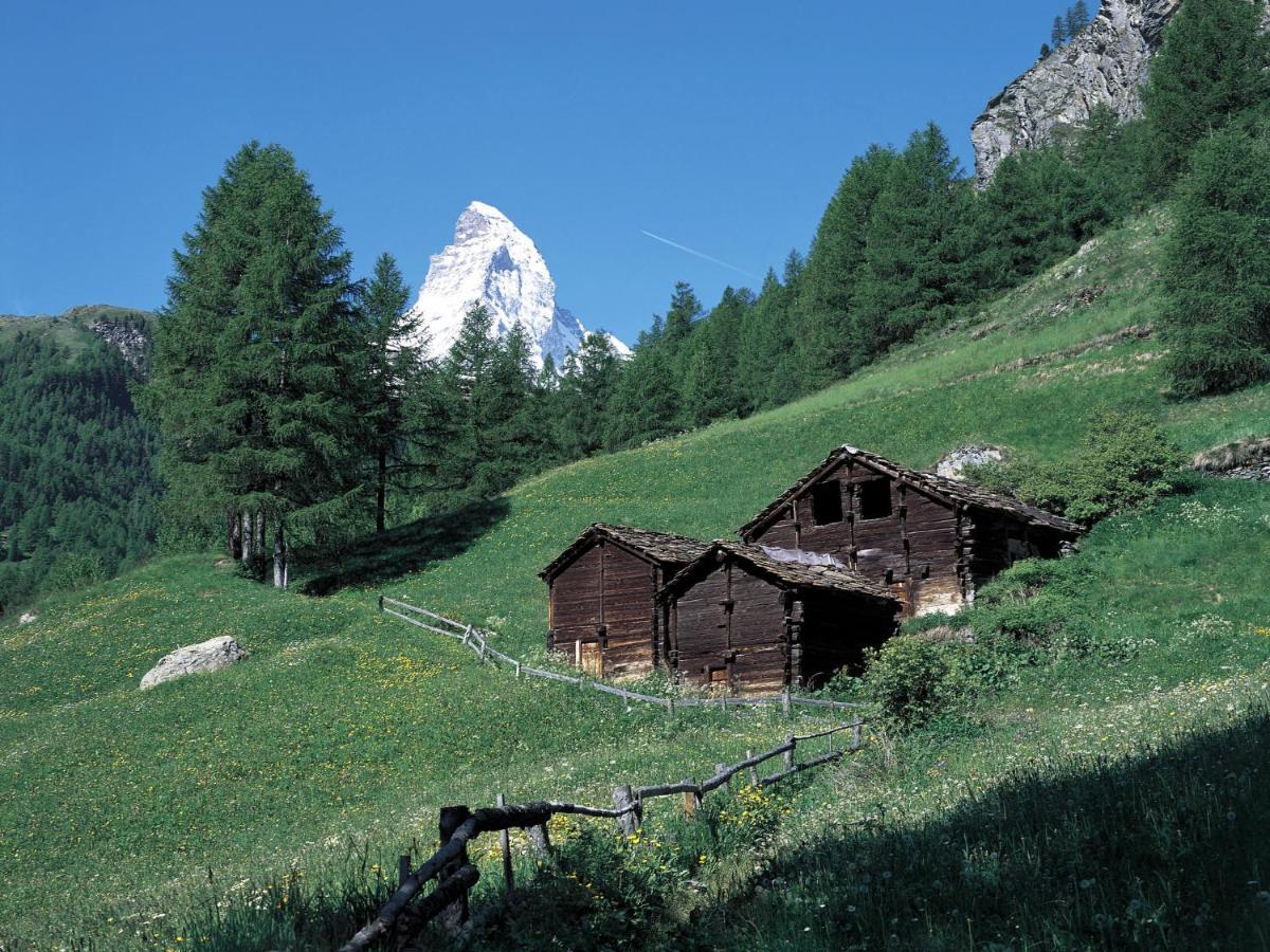 Apartment Armina By Interhome Zermatt Bagian luar foto